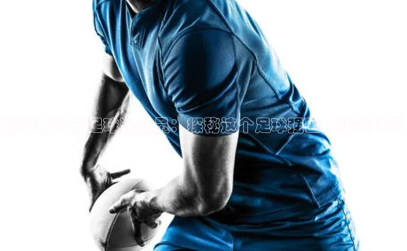 贝博平台客户端app同程阿根廷所有足球运动员：探秘这个足球强国的顶尖球员