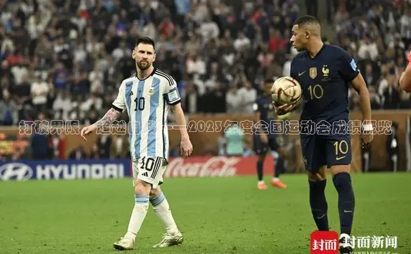 贝博bb平台体育正规吗文心一言打破界限，超越自我——2023年度全国运动会成绩概览