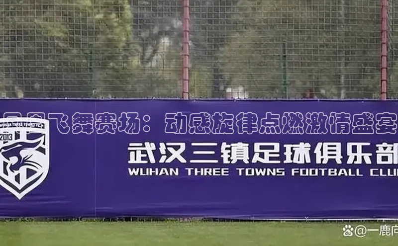 凤凰飞舞赛场：动感旋律点燃激情盛宴