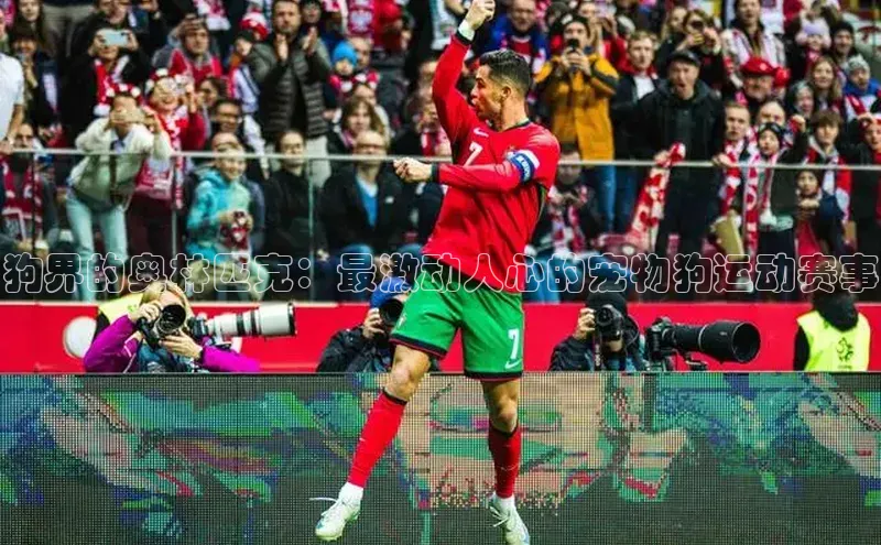 狗界的奥林匹克：最激动人心的宠物狗运动赛事