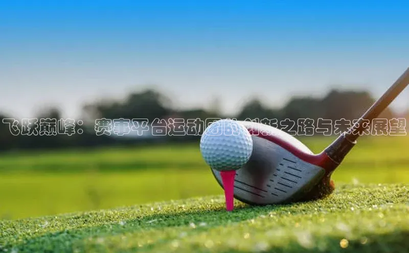 飞跃巅峰：赛事平台运动团的创新之路与未来展望