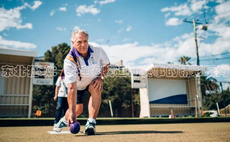 东北狂欢：大连宠物运动赛事的精彩瞬间