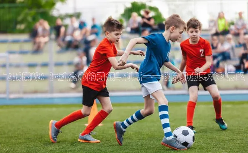 飞跃巅峰：运动赛事的引领与创新——我的几点思考和展望