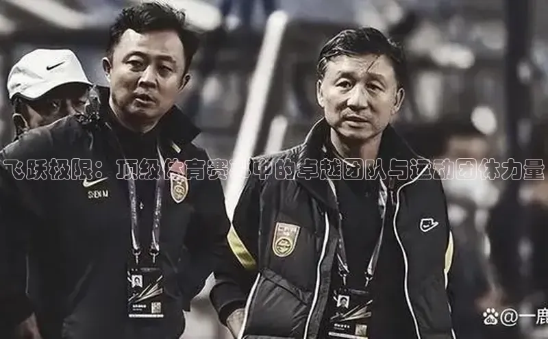 飞跃极限：顶级体育赛事中的卓越团队与运动团体力量