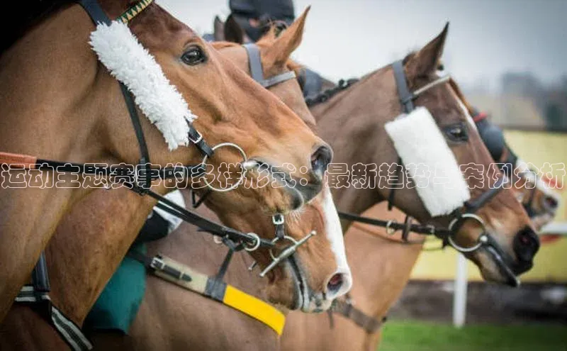 运动主题赛事的多样形式：最新趋势与案例分析