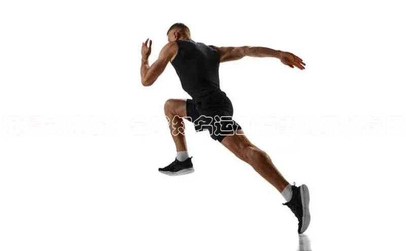 沉浸式体验：全球知名运动赛事的现场氛围