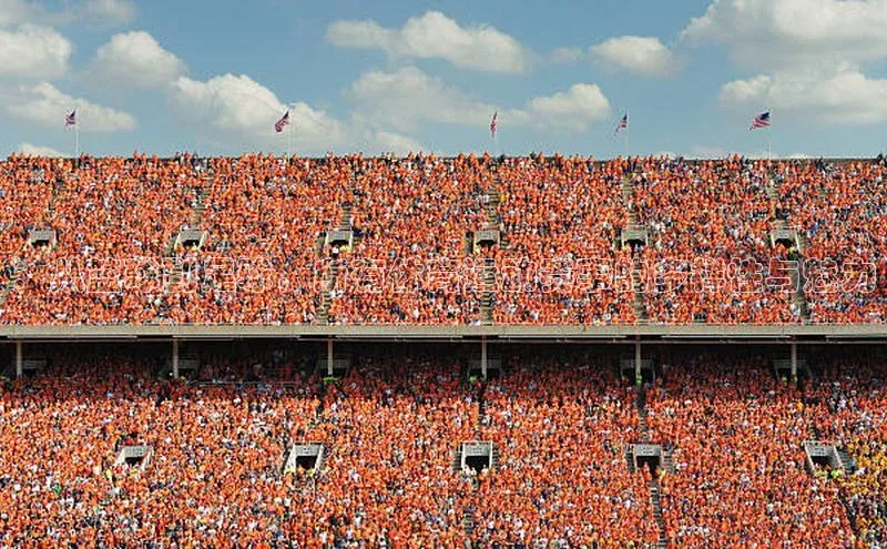 ：从篮球到足球，所有体育运动赛事的多样性与魅力