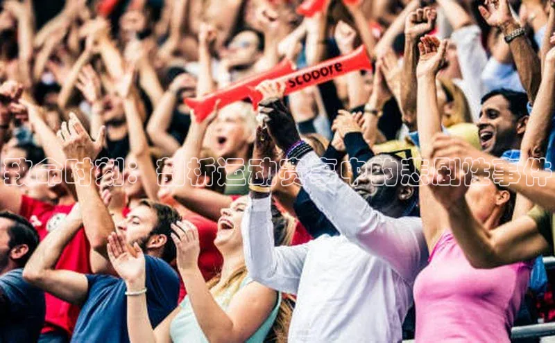 致命时刻：剖析运动赛事中的悲剧性事件