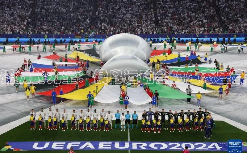 迁徙的力量：候鸟运动会的生态盛宴