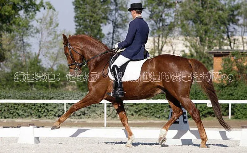 疾速赛道：记录每一次激情碰撞的赛事活动Vlog