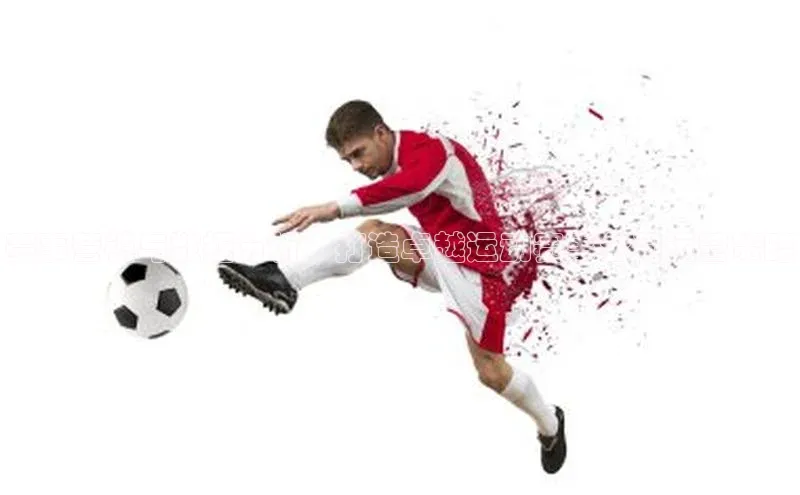 贝博平台客户端app