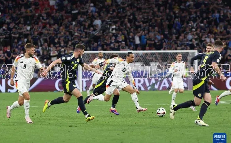 极限飞翔：极限运动的无畏旅程