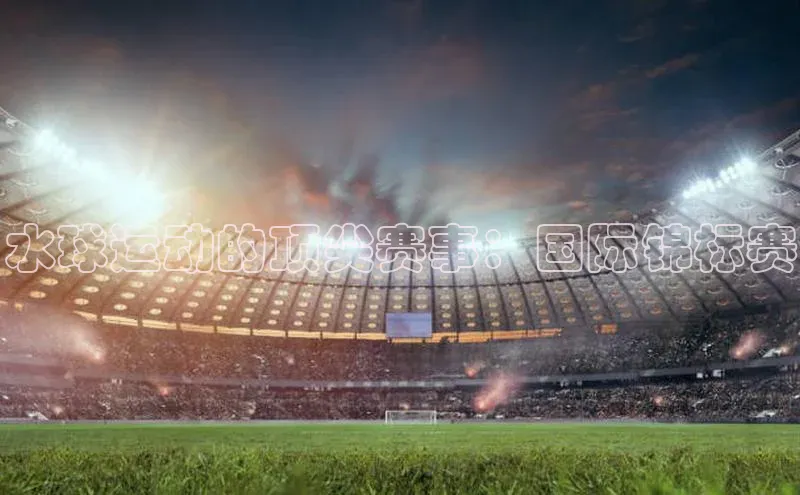 贝博平台网站谁知道